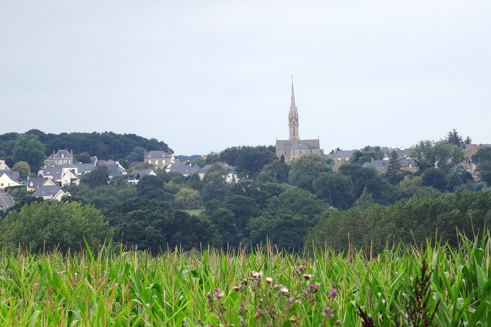 Hénanbihen (22550) : Hénanbihen vue